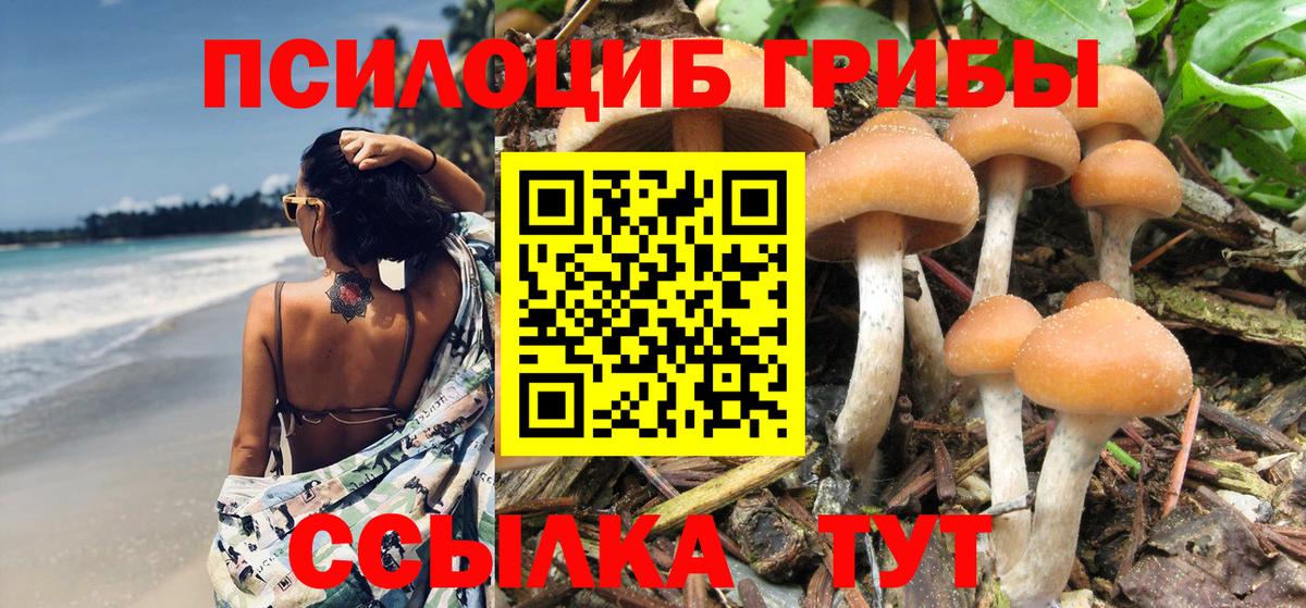 Псилоцибиновые грибы GOLDEN TEACHER Аргун